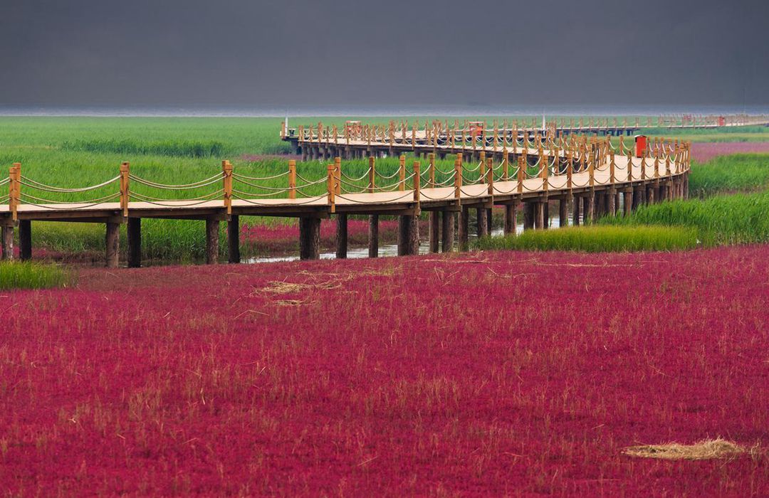 红海子湿地旅游区 红海子湿地旅游区