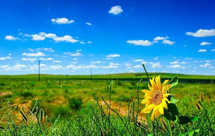 鄂尔多斯文化旅游村 鄂尔多斯文化旅游村