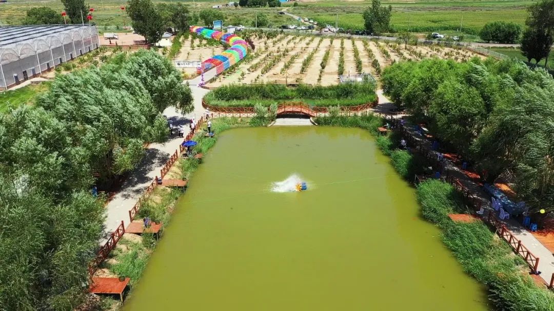 巴彦乌素嘎查“林野牧歌”露营基地