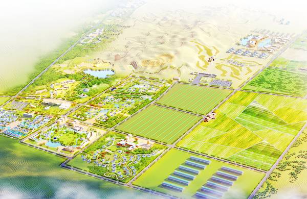 大沙头生态文化旅游区导游图 大沙头生态文化旅游区导游图