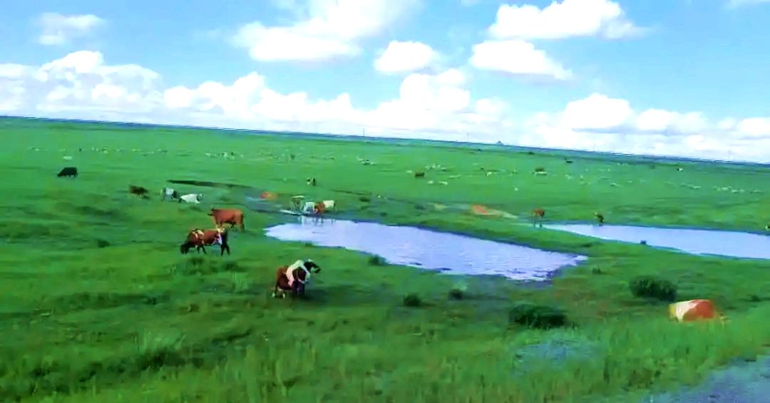 石宝镇草原美景