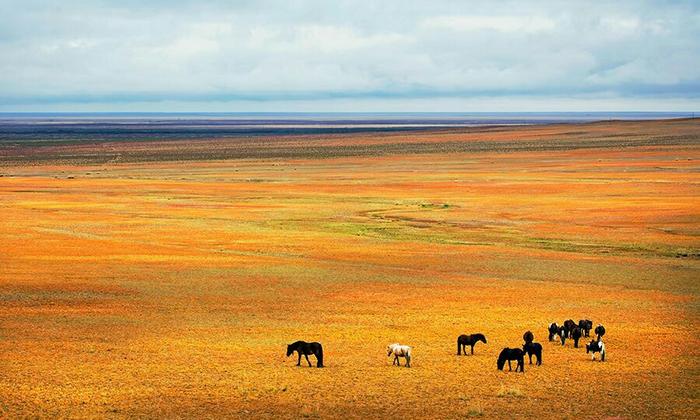 腾格淖尔自然保护区