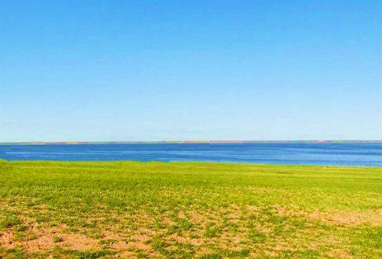 腾格淖尔自然保护区