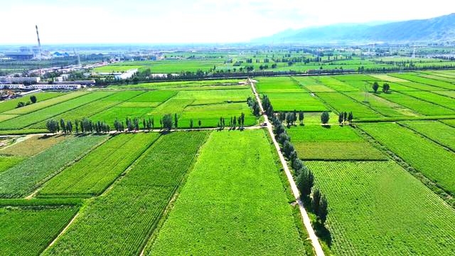 卜尔汉图镇美景