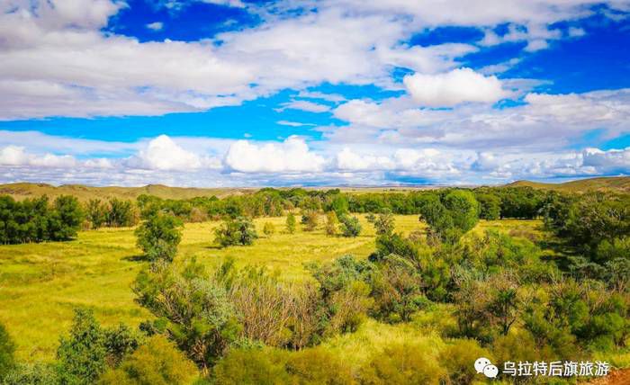 宝日汗图百年草原
