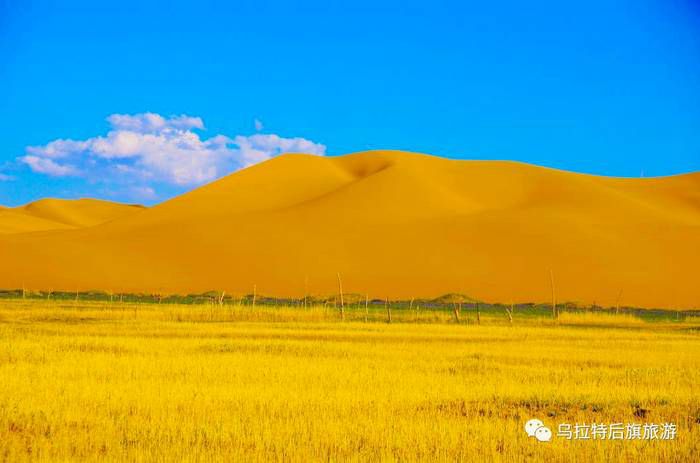 宝日汗图百年草原