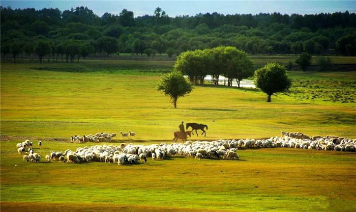 额尔登布拉格草原