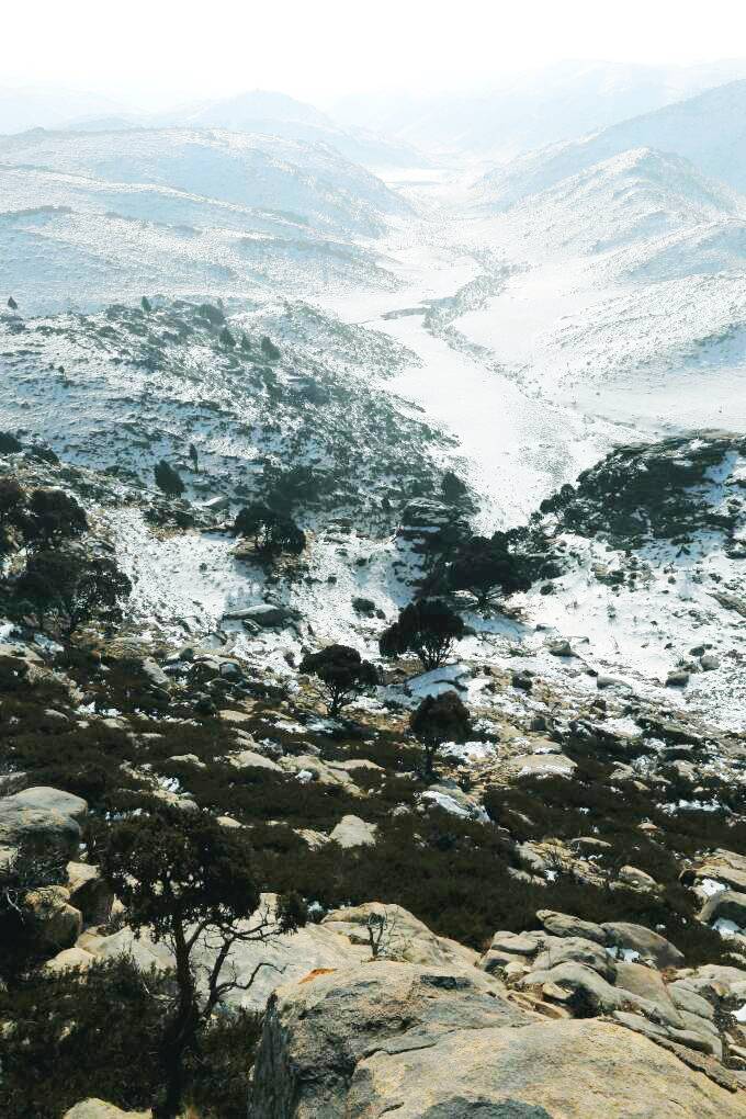 阿尔其山叉枝圆柏自治区级自然保护区 阿尔其山叉枝圆柏自治区级自然保护区