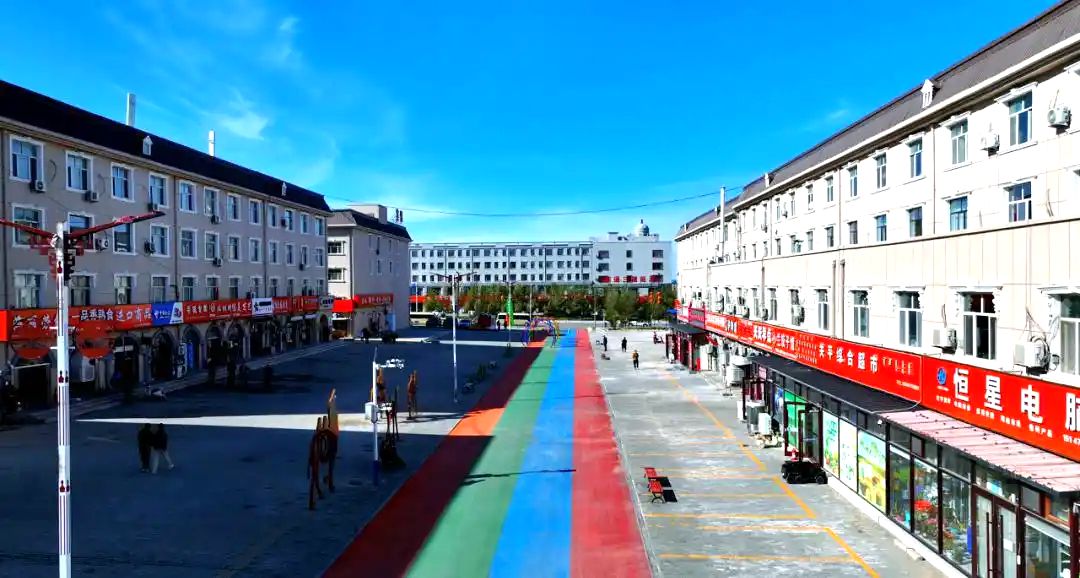 甘其毛都镇一棵树商业街