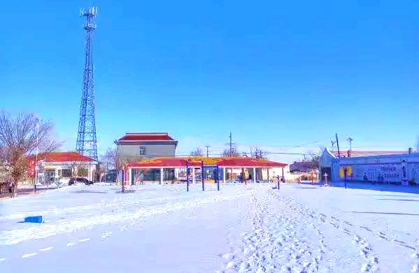 冬天的川井苏木