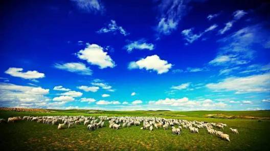 温根塔拉草原旅游区