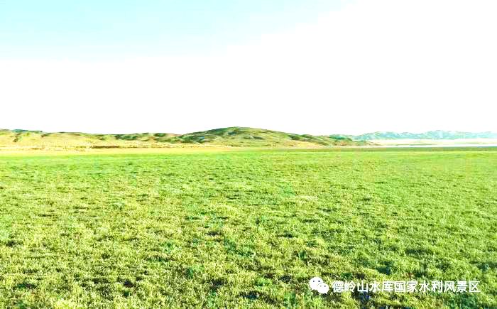 德岭山水库湿地