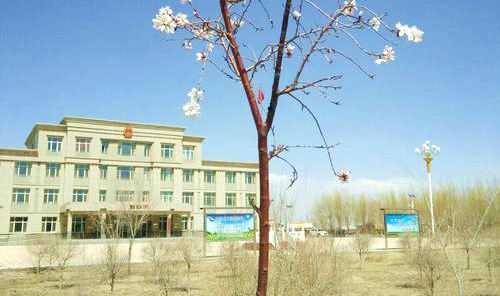 银定图镇政府大院