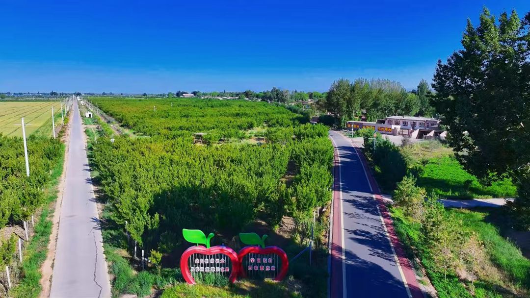 塔尔湖镇联丰村采摘园