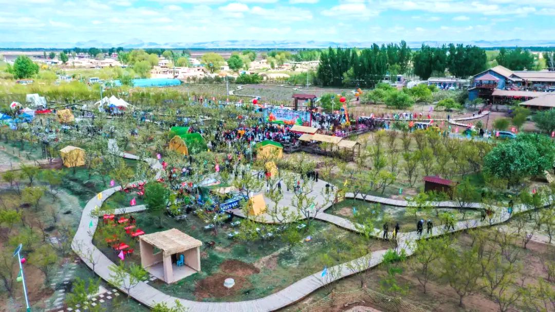 塔尔湖镇联丰村百年梨园