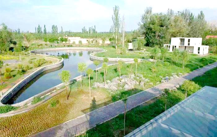 干召庙镇民主村四组