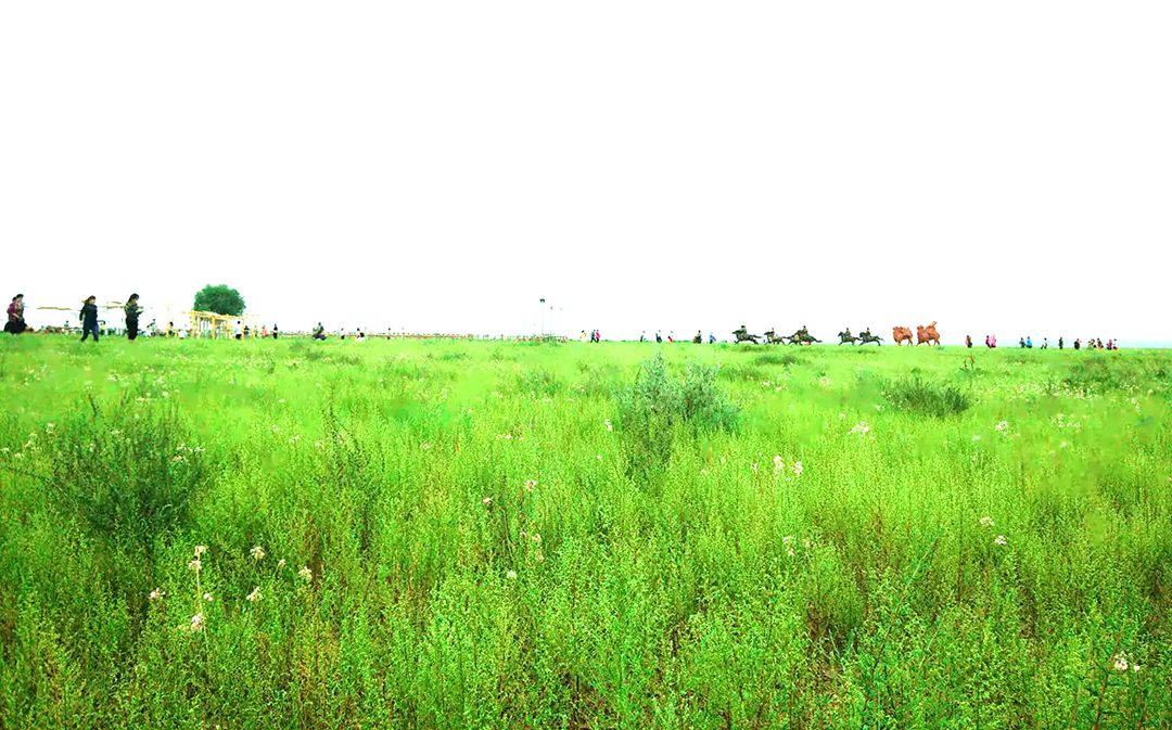 锡林塔拉草原