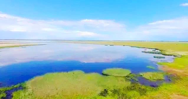 巴音淖尔湖
