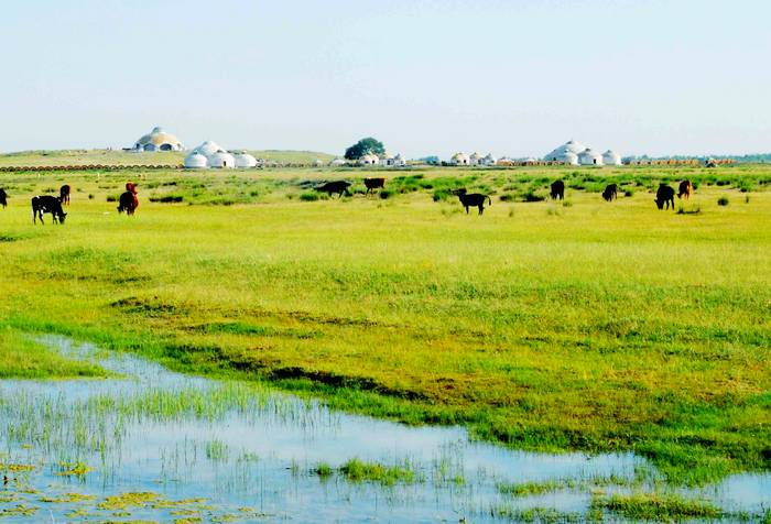 察罕苏力德草原