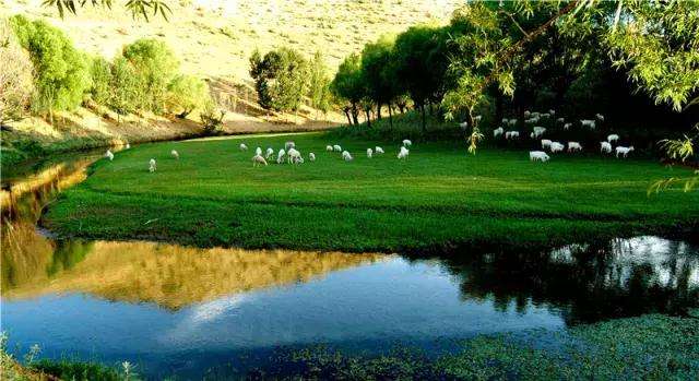 萨拉乌苏大沟湾风光