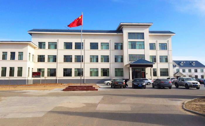 吉格斯太镇政府