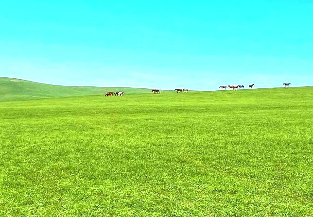 展旦召草原