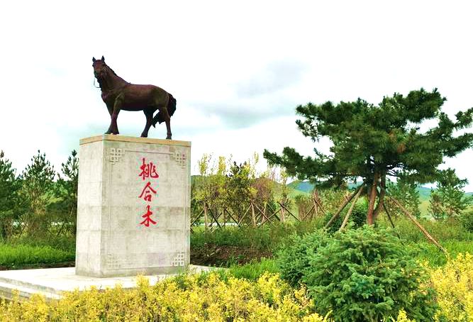 桃合木苏木地标