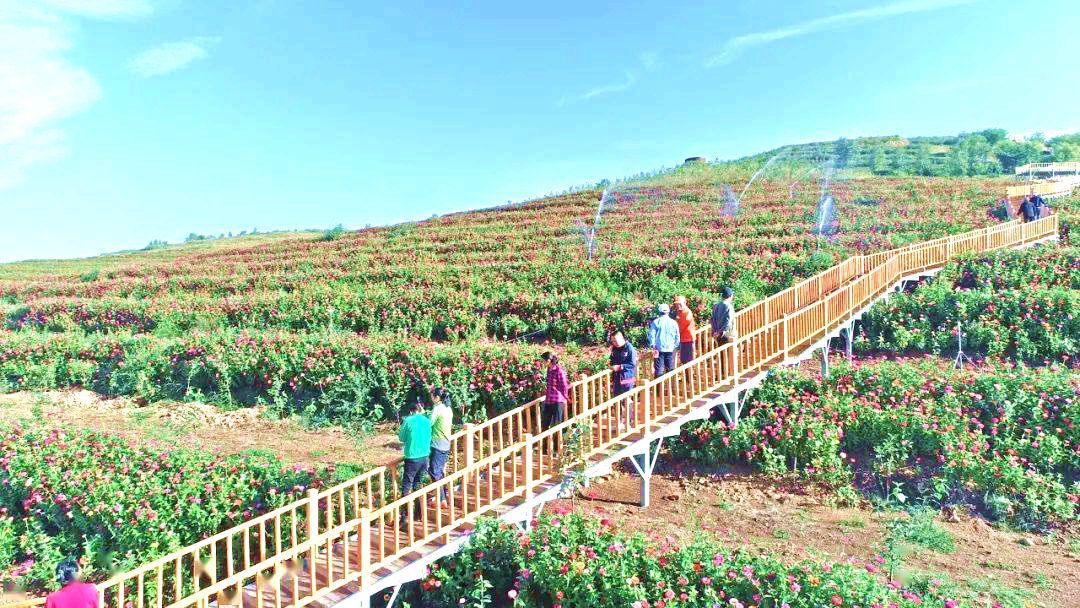 俄体镇兴安村“林果+生态+旅游”产业融合发展新业态 俄体镇兴安村“林果+生态+旅游”产业融合发展新业态