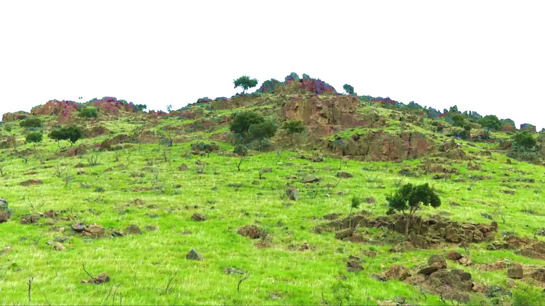 查布嘎图阿尔山人面岩画旅游区