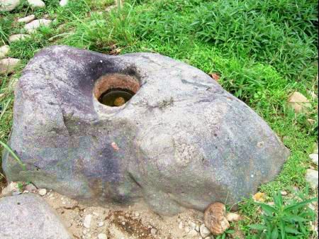 嫦娥山自然保护区