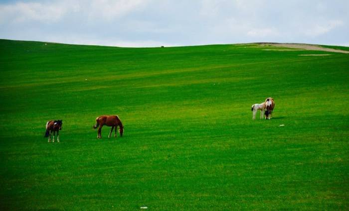 山地草原旅游区 山地草原旅游区