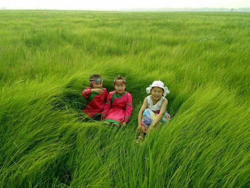 吉尔嘎朗镇茂林塔拉草原