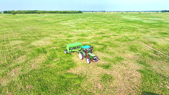 花胡硕苏木草原 花胡硕苏木草原