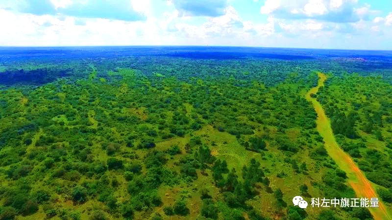 乌斯吐自然保护区