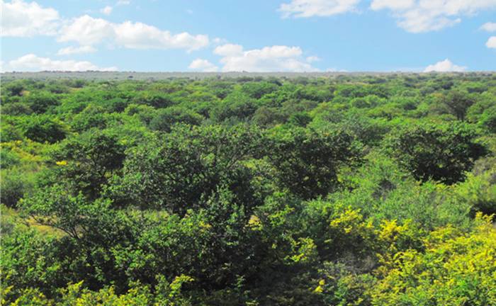 乌斯吐自然保护区