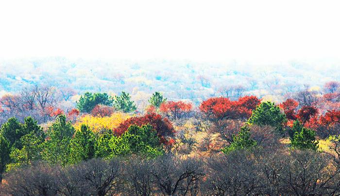 乌斯吐自然保护区