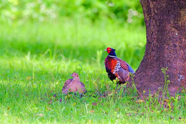 乌斯吐自然生态旅游区