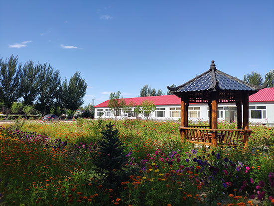 胜利乡党建文化大院