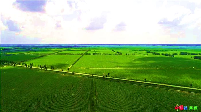 胜利乡3万亩高标准农田甜菜示范化种植基地