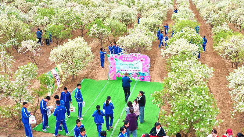 吉日嘎郎吐镇第三届文冠果赏花节