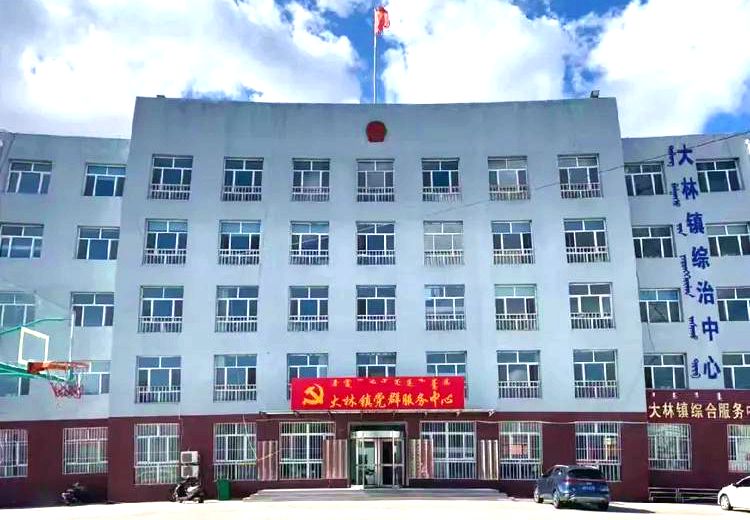 大林镇政府