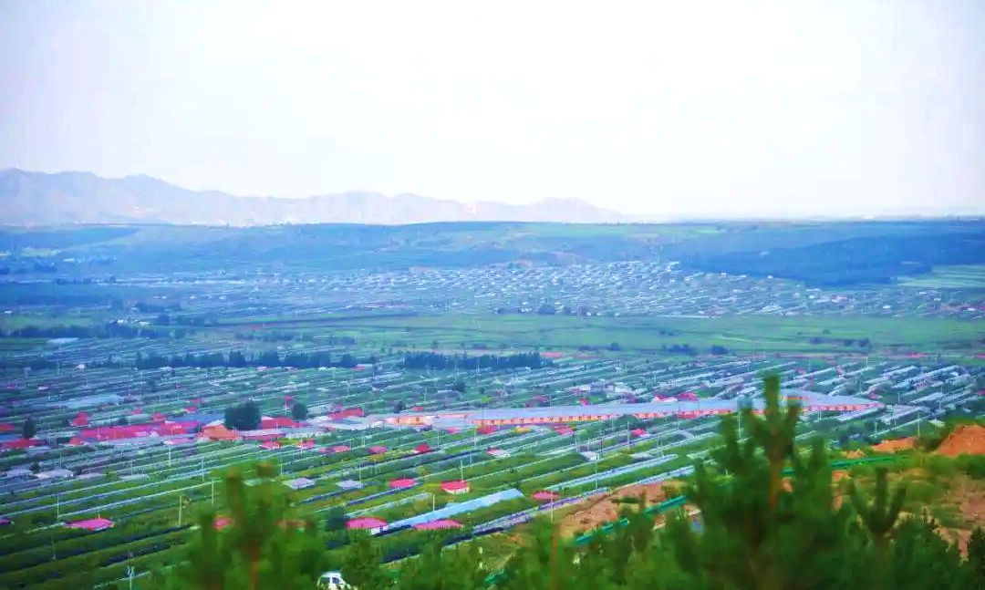 大庙镇公主岭现代农业产业园