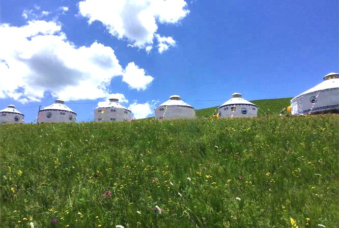 岗子乡漫甸草原