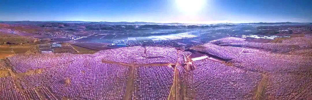 龙潭风景区万亩杏林 龙潭风景区万亩杏林