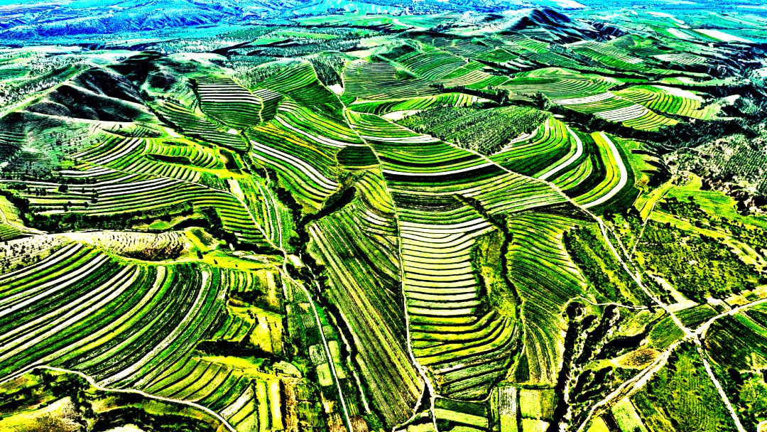 太平地镇潘家沟村谷子田