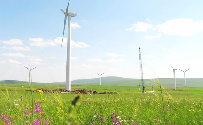 亿合公镇高山草原