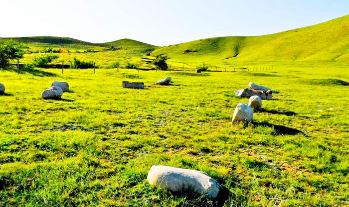 梧桐花镇张英瑞家族墓地