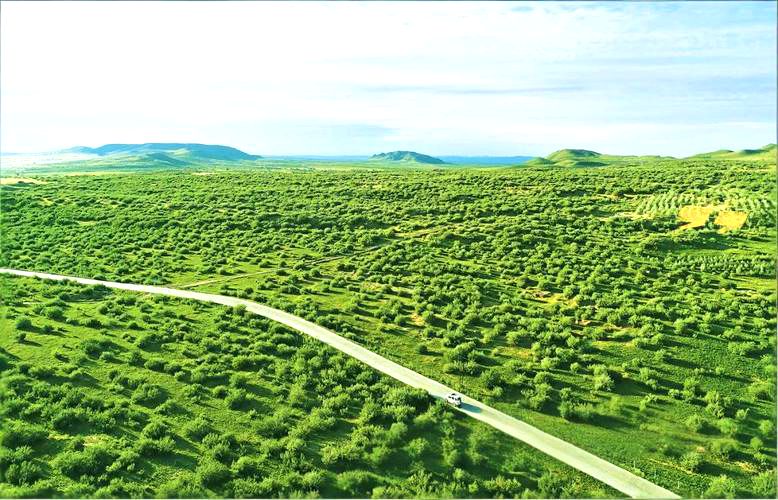 阿什罕苏木疏林草原