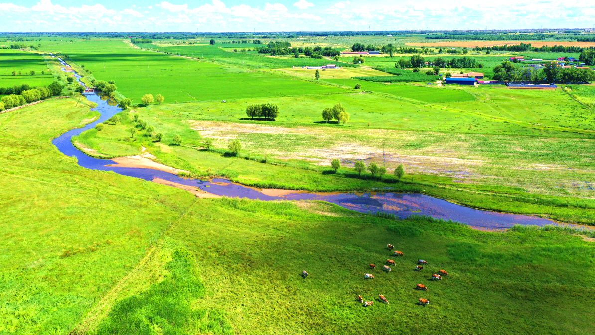 格日僧苏木白音河湿地