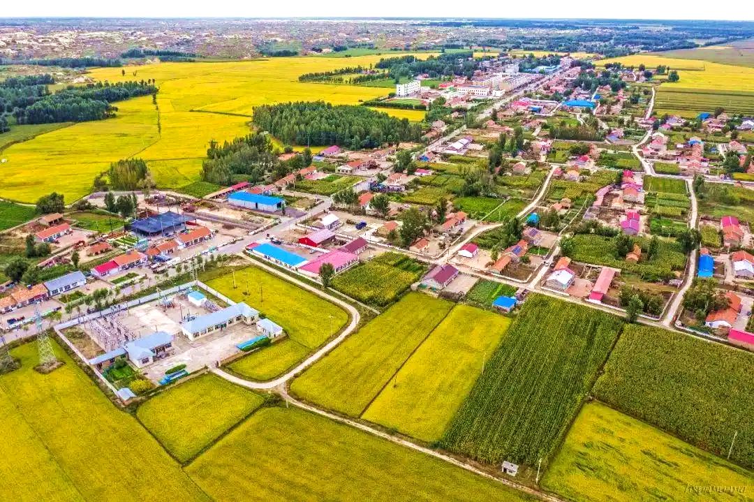 白音套海苏木全景